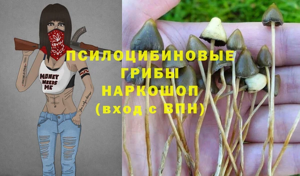 a pvp Нефтекумск