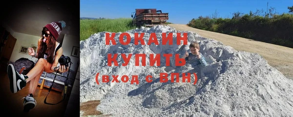 гидропоника Новозыбков