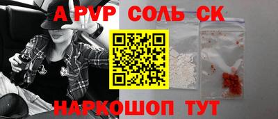 индика Гусев