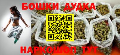 индика Гусев