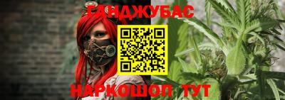 индика Гусев