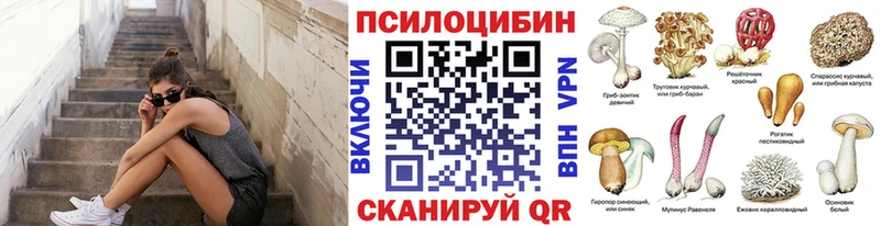 mega маркетплейс  Череповец  Псилоцибиновые грибы Cubensis  где можно купить  