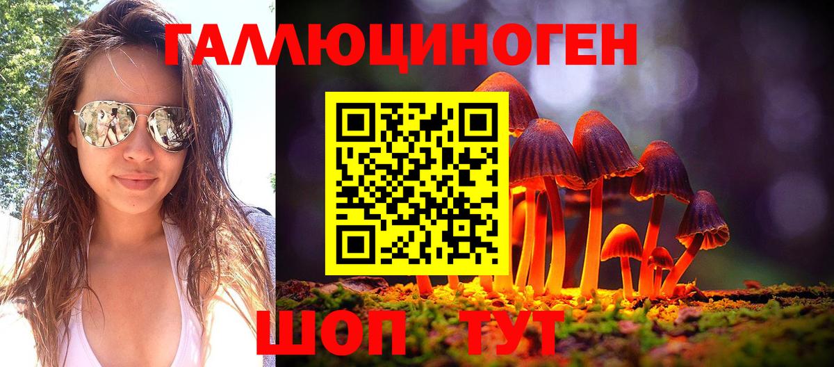 Псилоцибиновые грибы MAGIC MUSHROOMS  Псилоцибиновые грибы Psilocybe  как найти   Вход с VPN  Череповец 