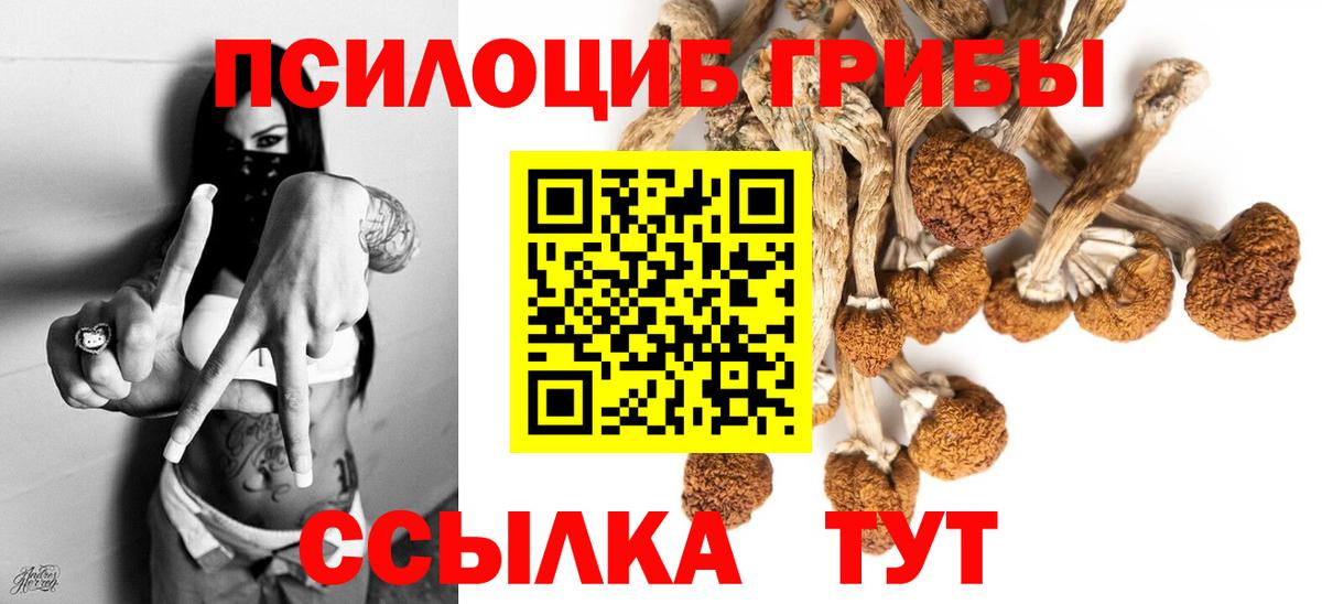 Галлюциногенные грибы Magic Shrooms  Галлюциногенные грибы MAGIC MUSHROOMS  как найти   Череповец 