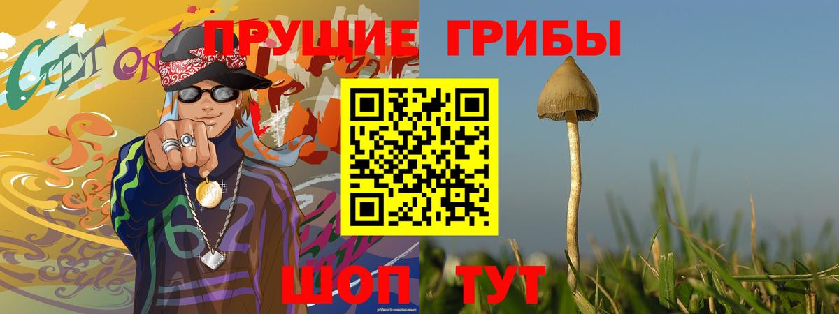 Галлюциногенные грибы GOLDEN TEACHER Череповец