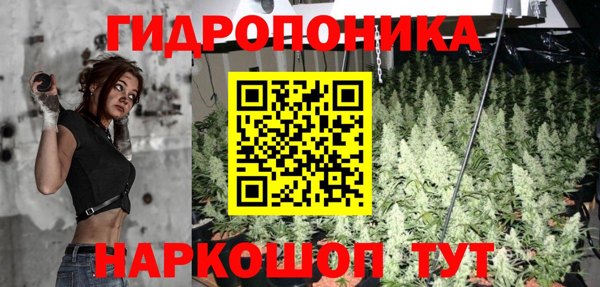 Бошки марихуана сатива Череповец